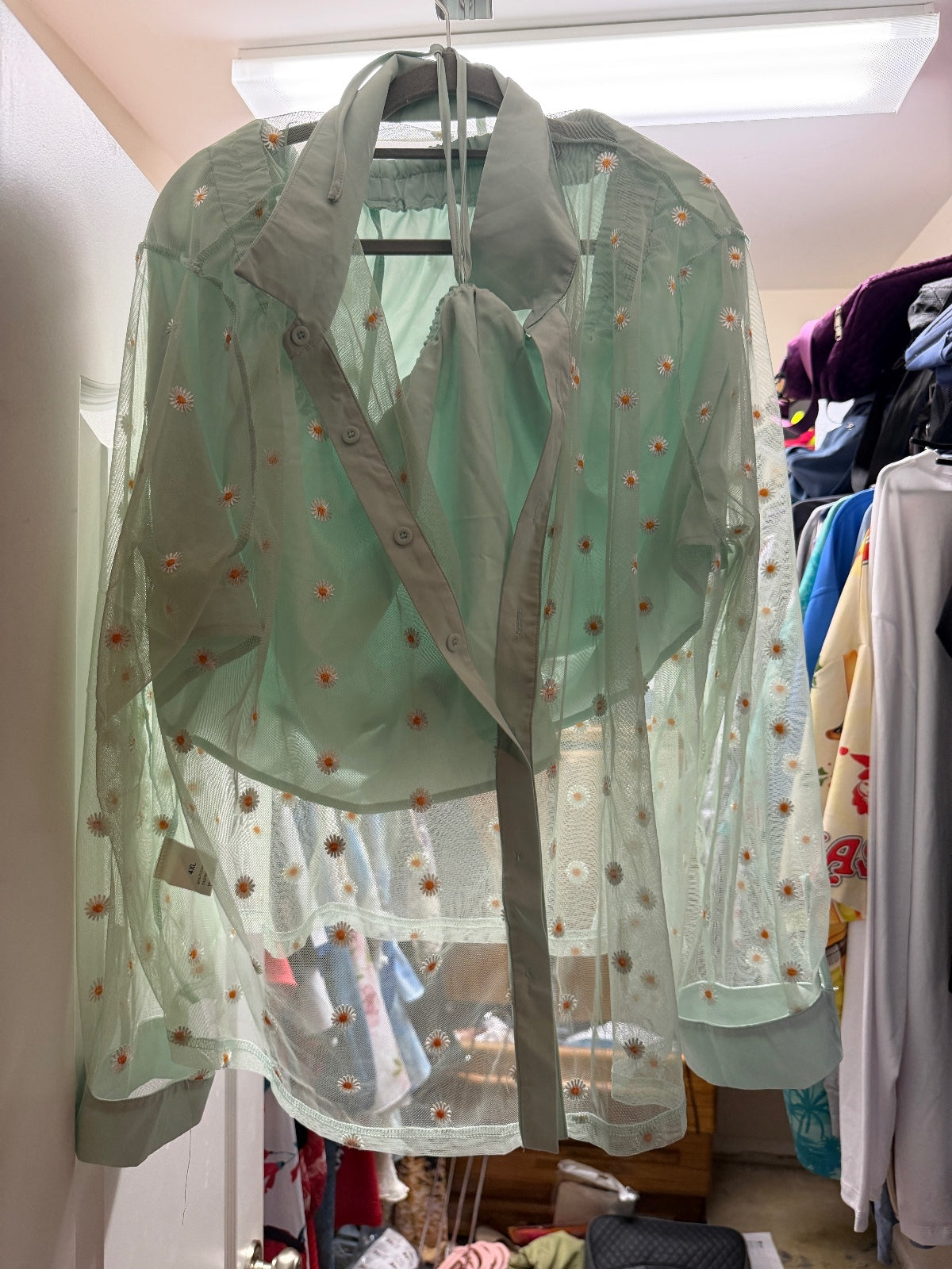 Sheer Mint Green Floral Embroidered Blouse and high waisted shirts