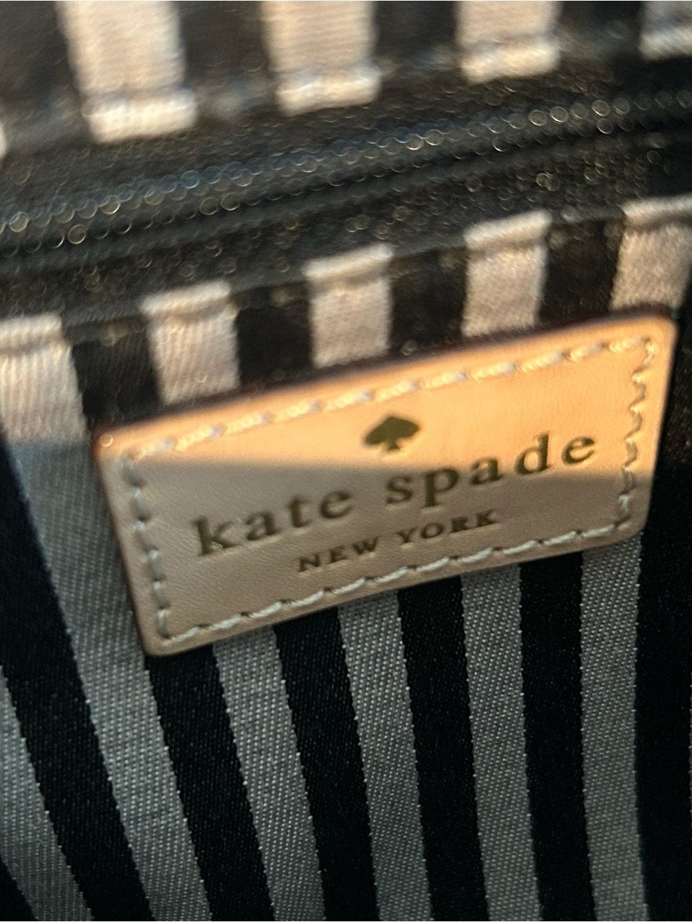 Kate Spade Red Coral Leather Crossbody Bag with Striped Interior